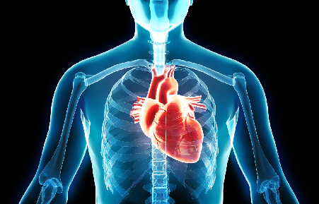 Causes of Hyperlipidemia